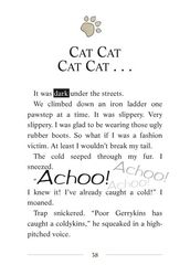 13 The Phantom of the Subway 11-CAT CAT CAT CAT -- 绘本听读宝在线台词全文