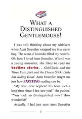 25 The Search for Sunken Treasure 03-WHAT A DISTINGUISHED GENTLEMOUSE! -- 绘本听读宝在线台词全文