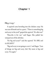 1 The Chicken Squad Chapter 1 -- 绘本听读宝在线台词全文