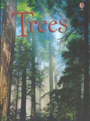 初探自然 10 Trees -- 绘本听读宝在线台词全文