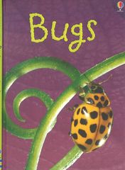 初探自然 3 Bugs -- 绘本听读宝在线台词全文