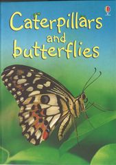 初探自然 4 Caterpillars and butterflies -- 绘本听读宝在线台词全文