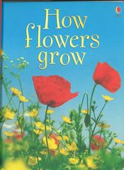 初探自然 5 How flowers grow -- 绘本听读宝在线台词全文