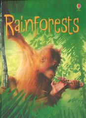 初探自然 6 Rainforest -- 绘本听读宝在线台词全文