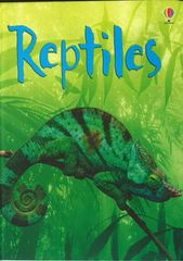 初探自然 7 Raptiles -- 绘本听读宝在线台词全文