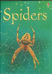 初探自然 8 Spiders -- 绘本听读宝在线台词全文