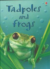 初探自然 9 Tadpoles and Frogs -- 绘本听读宝在线台词全文