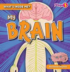 what is inside me My Brain -- 绘本听读宝在线台词全文