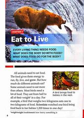 Level 1 20 Feeding Time The Feeding Habits of Animals -- 绘本听读宝在线台词全文