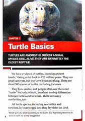 Level 3 87 Turtles Ancient SymbolModern Survivor -- 绘本听读宝在线台词全文