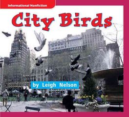 加州科学Time For Kids G1 10 City Birds -- 绘本听读宝在线台词全文