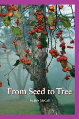 加州科学Time For Kids G2 20 From Seed to Tree -- 绘本听读宝在线台词全文