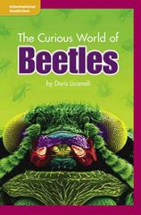 加州科学Time For Kids G3 44 The Curious World of Beetles -- 绘本听读宝在线台词全文