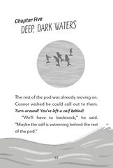 1 The Lost Whales 5 Deep, dark waters -- 绘本听读宝在线台词全文