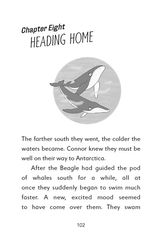 1 The Lost Whales 8 Heading home -- 绘本听读宝在线台词全文
