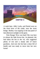 2 Bats in the Castle Chapter 8 -- 绘本听读宝在线台词全文