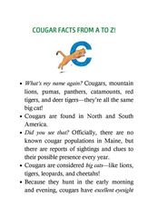 3 Cougar Clues Chapter 11 -- 绘本听读宝在线台词全文