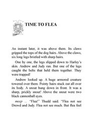 01 On the Dog 8 Time to Flea -- 绘本听读宝在线台词全文