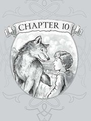 15 Den of Wolves 10 Wolf Family Friends -- 绘本听读宝在线台词全文