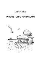 05 The 65-Storey Treehouse 5 Prehistoric Pond Scum 650 Million BC -- 绘本听读宝在线台词全文