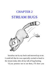 3 Merhorses and Bubbles 2 STREAM BUGS -- 绘本听读宝在线台词全文