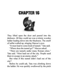 10 I Survived the Destruction of Pompeii, A.D. 79 Chapter 16 -- 绘本听读宝在线台词全文