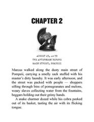 10 I Survived the Destruction of Pompeii, A.D. 79 Chapter 2 -- 绘本听读宝在线台词全文
