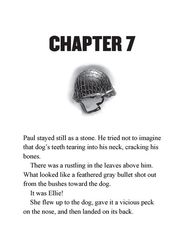 18 I Survived the Battle of D-Day, 1944 Chapter 7 -- 绘本听读宝在线台词全文
