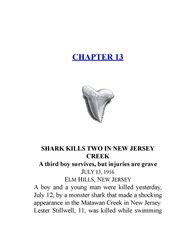 2 I Survived the Shark Attacks of 1916 Chapter 13 -- 绘本听读宝在线台词全文