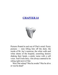 2 I Survived the Shark Attacks of 1916 Chapter 14 -- 绘本听读宝在线台词全文