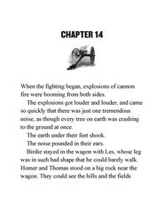 7 I Survived the Battle of Gettysburg, 1863 Chapter 14 -- 绘本听读宝在线台词全文