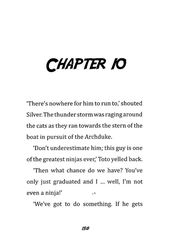 2 Toto the Ninja Cat and the Incredible Cheese Heist Chapter 10 -- 绘本听读宝在线台词全文
