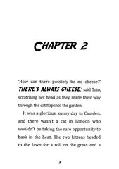 2 Toto the Ninja Cat and the Incredible Cheese Heist Chapter 2 -- 绘本听读宝在线台词全文