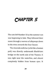 2 Toto the Ninja Cat and the Incredible Cheese Heist Chapter 5 -- 绘本听读宝在线台词全文