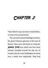 3 Toto the Ninja Cat and the Superstar Catastrophe Chapter 2 -- 绘本听读宝在线台词全文