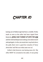 4 Toto the Ninja Cat and the Mystery Jewel Thief Chapter 10 -- 绘本听读宝在线台词全文