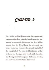 4 Toto the Ninja Cat and the Mystery Jewel Thief Chapter 3 -- 绘本听读宝在线台词全文
