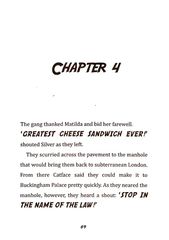 4 Toto the Ninja Cat and the Mystery Jewel Thief Chapter 4 -- 绘本听读宝在线台词全文