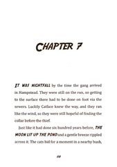 4 Toto the Ninja Cat and the Mystery Jewel Thief Chapter 7 -- 绘本听读宝在线台词全文