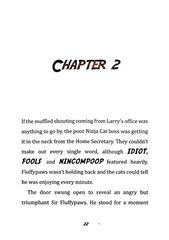 5 Toto the Ninja Cat and the Legend of the Wildcat Chapter 2 -- 绘本听读宝在线台词全文