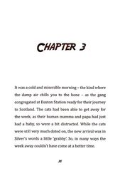 5 Toto the Ninja Cat and the Legend of the Wildcat Chapter 3 -- 绘本听读宝在线台词全文