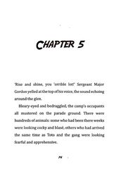 5 Toto the Ninja Cat and the Legend of the Wildcat Chapter 5 -- 绘本听读宝在线台词全文