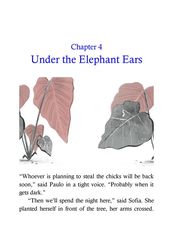 02 Search for the Scarlet Macaws 4 Under the Elephant Ears -- 绘本听读宝在线台词全文
