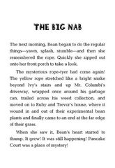 10 Ivy + Bean Take the Case 9 THE BIG NAB -- 绘本听读宝在线台词全文