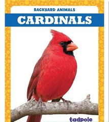 Backyard Animals 34 Backyard Animals: Cardinals -- 绘本听读宝在线台词全文