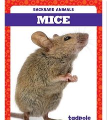 Backyard Animals 36 Backyard Animals: Mice -- 绘本听读宝在线台词全文