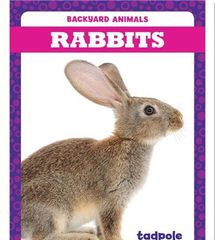 Backyard Animals 37 Backyard Animals: Rabbits -- 绘本听读宝在线台词全文