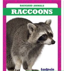 Backyard Animals 38 Backyard Animals: Raccoons -- 绘本听读宝在线台词全文