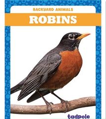 Backyard Animals 39 Backyard Animals: Robins -- 绘本听读宝在线台词全文