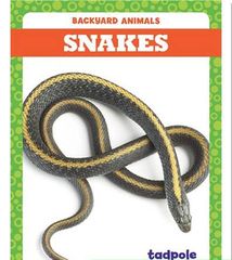 Backyard Animals 40 Backyard Animals: Snakes -- 绘本听读宝在线台词全文